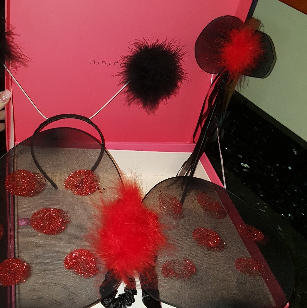 Ladybug tutu set
